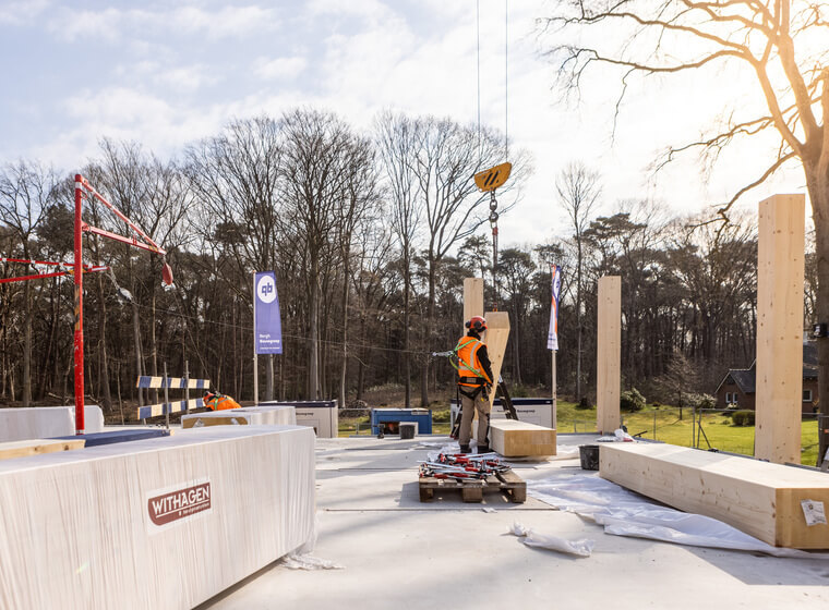 Hout terug in de natuur!